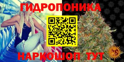 эйфоретик Комсомольск-на-Амуре