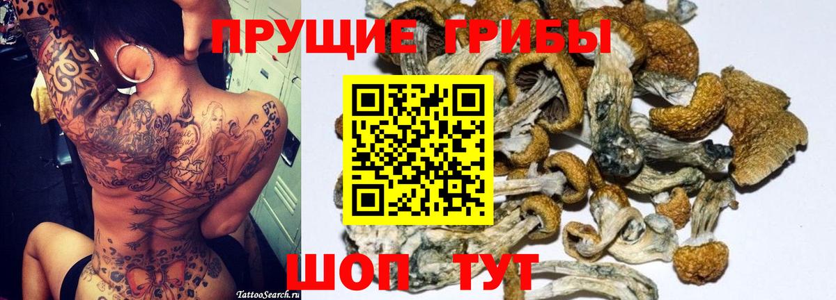 Галлюциногенные грибы Psilocybe Елизово